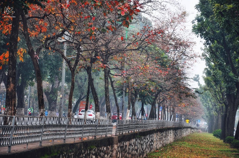 hanoi in december