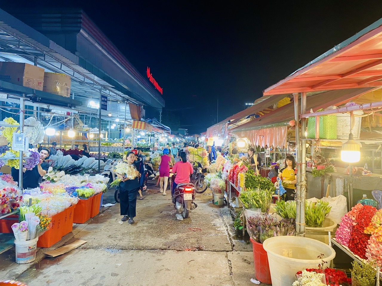 Trải nghiệm và cảm nhận chợ hoa về đêm