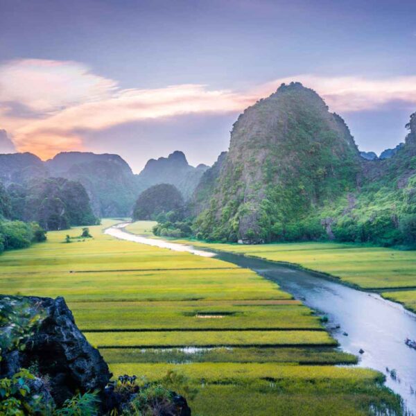 Hoa Lu – Tam Coc – Mua Cave Full Day Tour